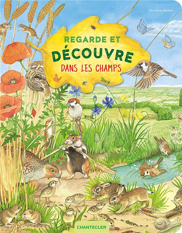 Regarde et découvre dans les champs