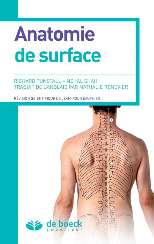 Anatomie de surface
