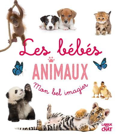 Les bébés animaux