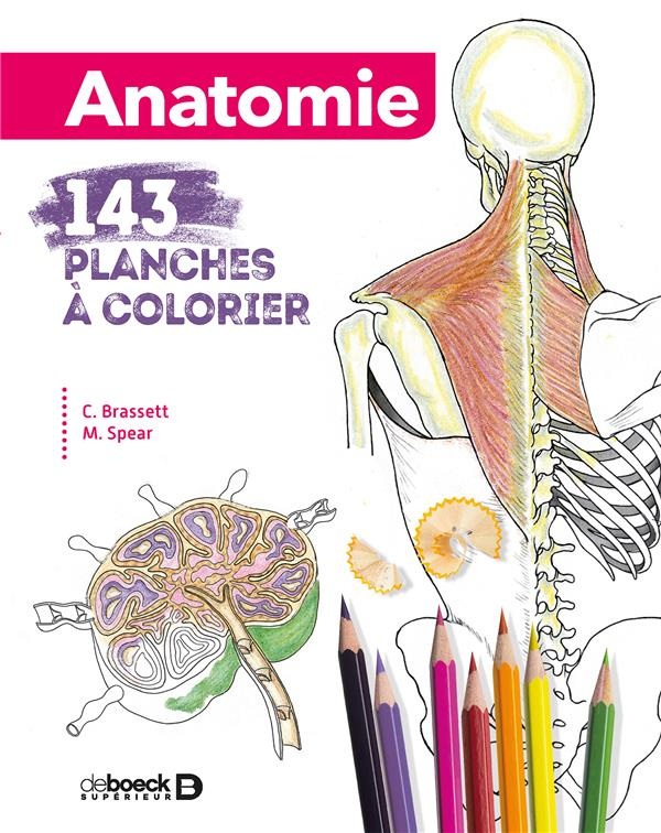 Anatomie. 143 planches à colorier