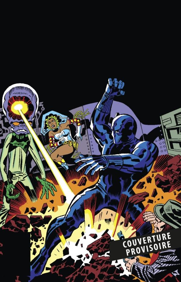 Black Panther L'intégrale : 1989