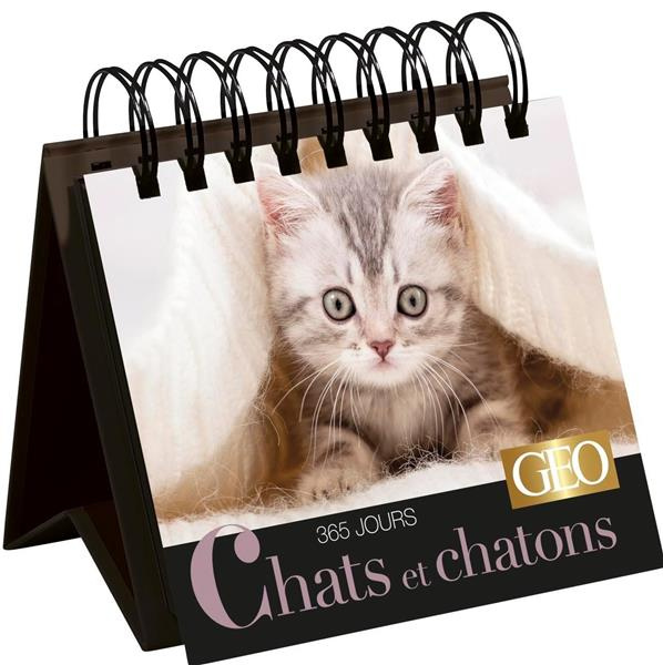 365 jours Chats et chatons