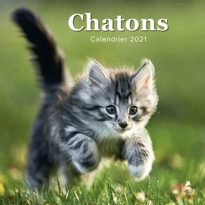 Chatons. Edition 2021