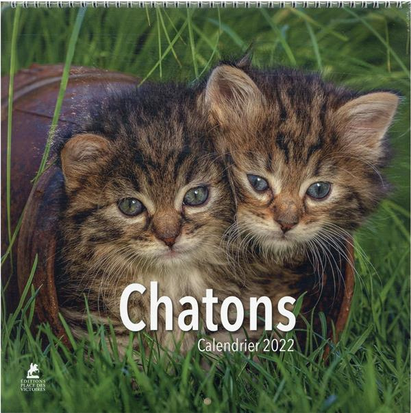 Calendrier chatons. Edition 2022