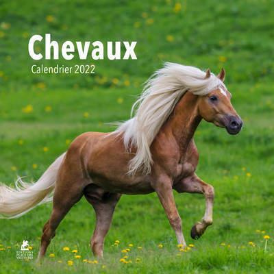 Chevaux. Edition 2022