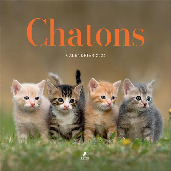 Calendrier chatons. Edition 2024