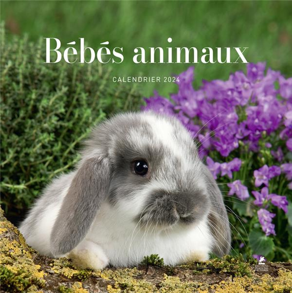 Calendrier bébés animaux. Edition 2024