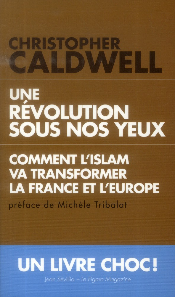Une révolution sous nos yeux. Comment l'Islam va transformer l'Europe et la France
