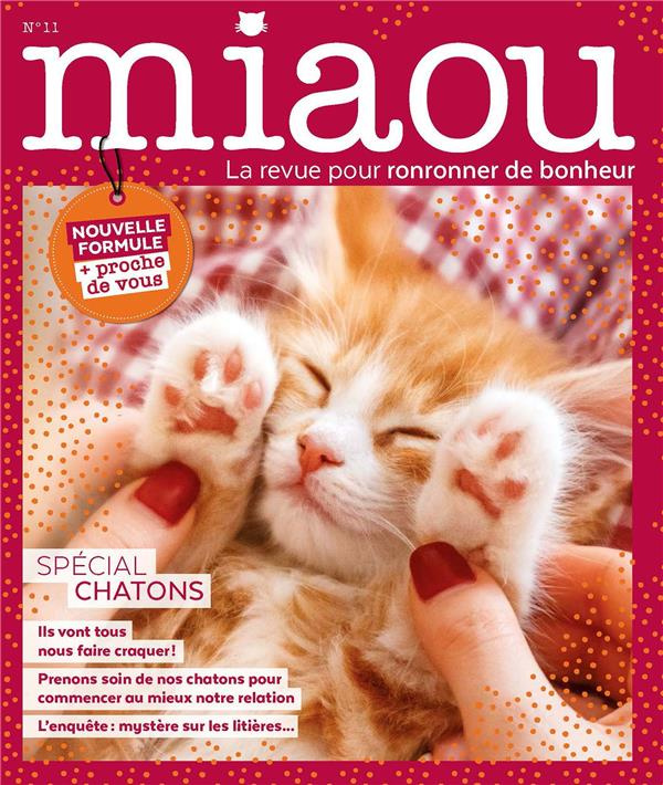 Miaou N° 11, septembre-octobre-novembre 2020 : Spécial chatons