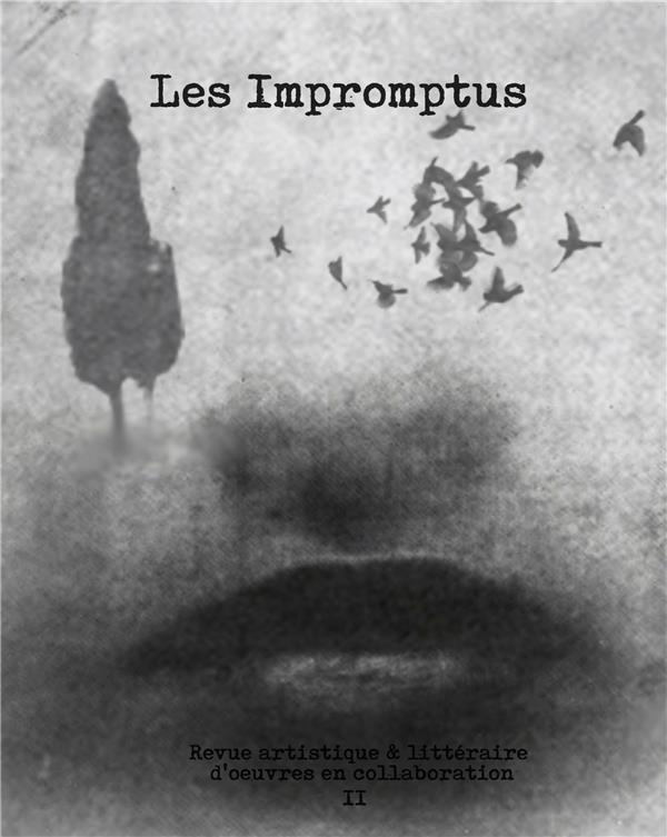 Les Impromptus N° 2
