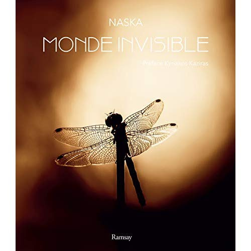Monde invisible