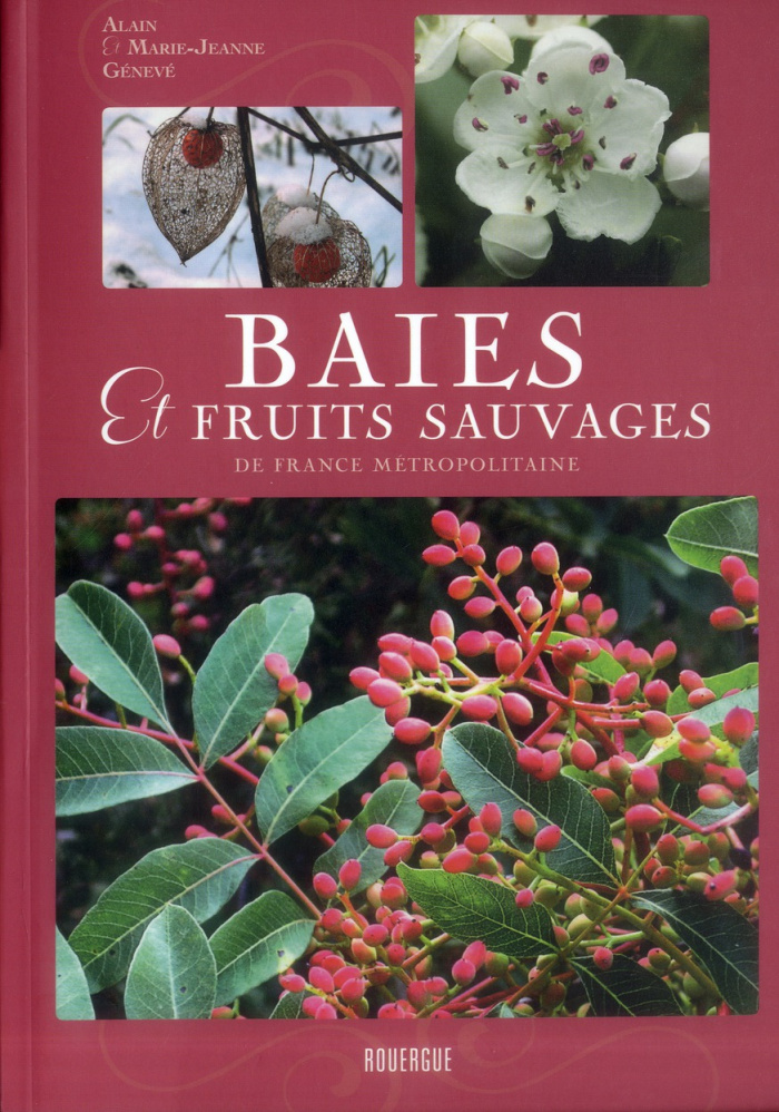Baies et fruits sauvages de France métropolitaine