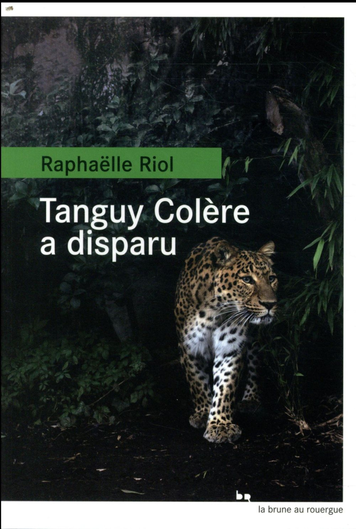 Tanguy Colère a disparu