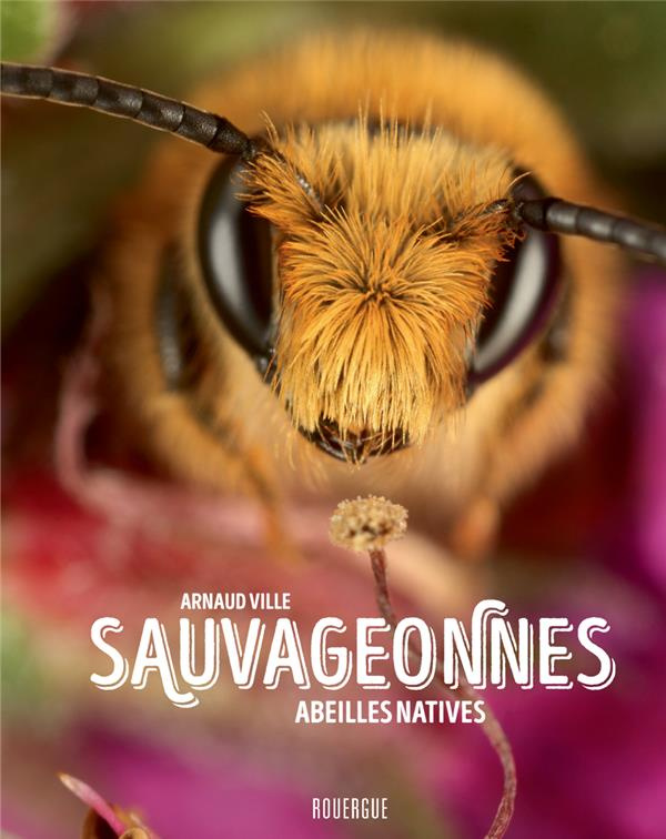 Sauvageonnes. Abeilles natives