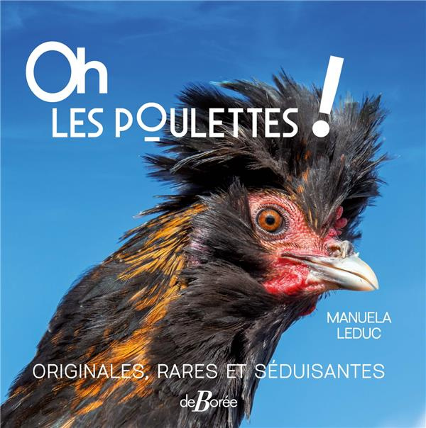 OH LES POULETTES ! ORIGINALES,