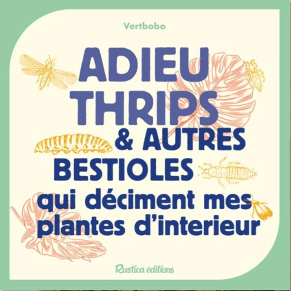 Adieu cochenilles & autres bestioles qui déciment mes plantes d'intérieur