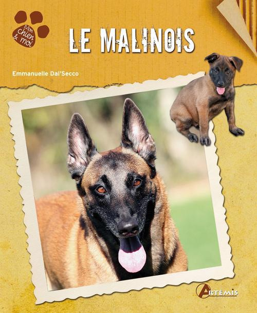 Le Malinois