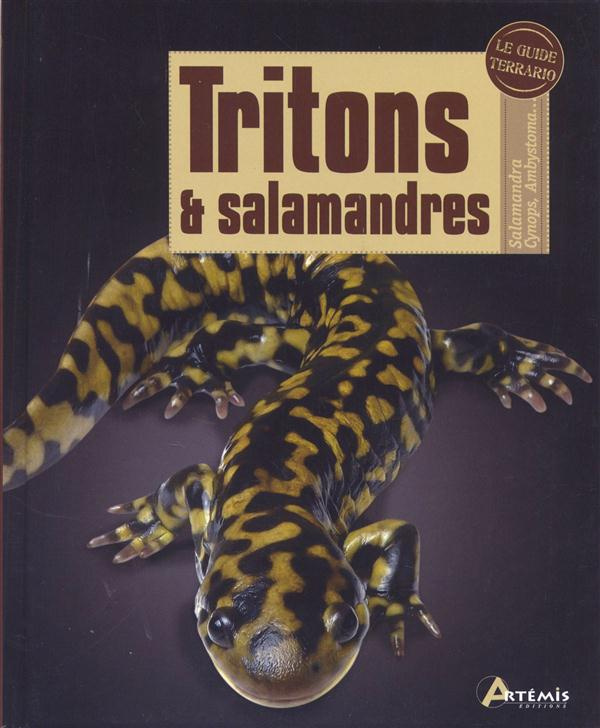 Tritons et salamandres