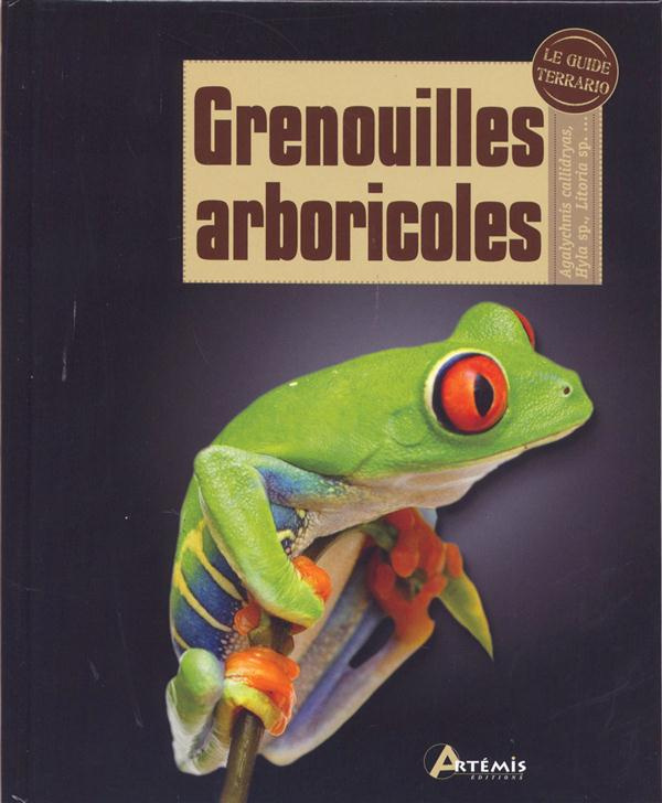 Grenouilles arboricoles