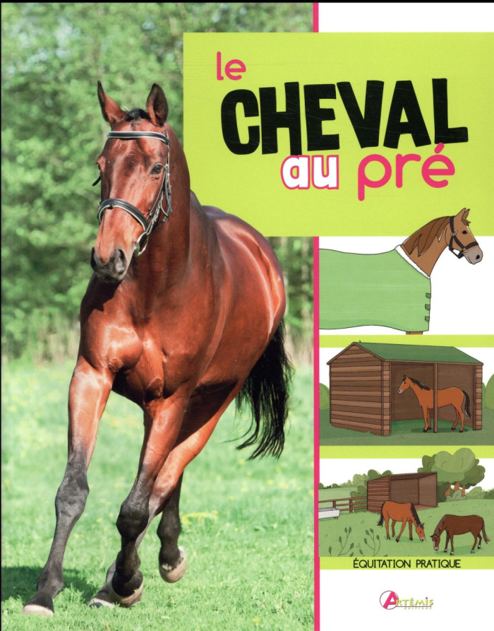 Le cheval au pré