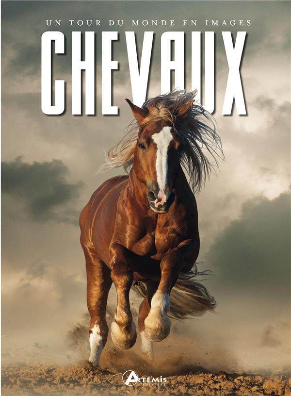 Chevaux. Un tour du monde en images