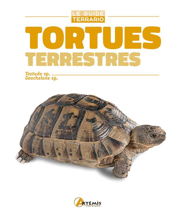 TORTUES TERRESTRES