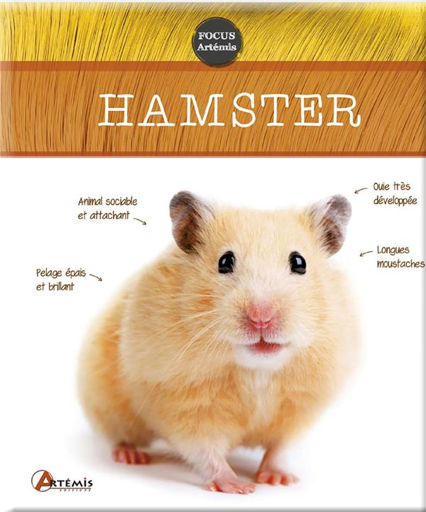 Hamster