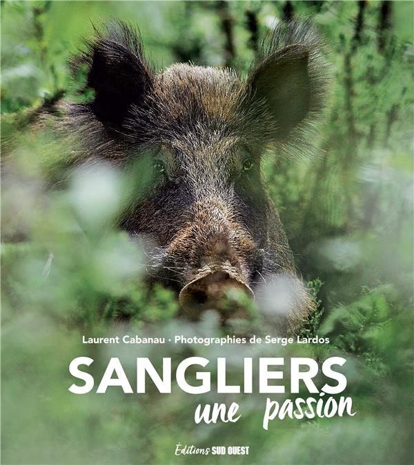 Sangliers. Une passion