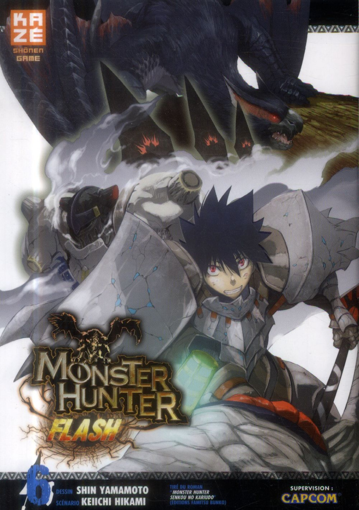 Monster Hunter Flash Tome 6