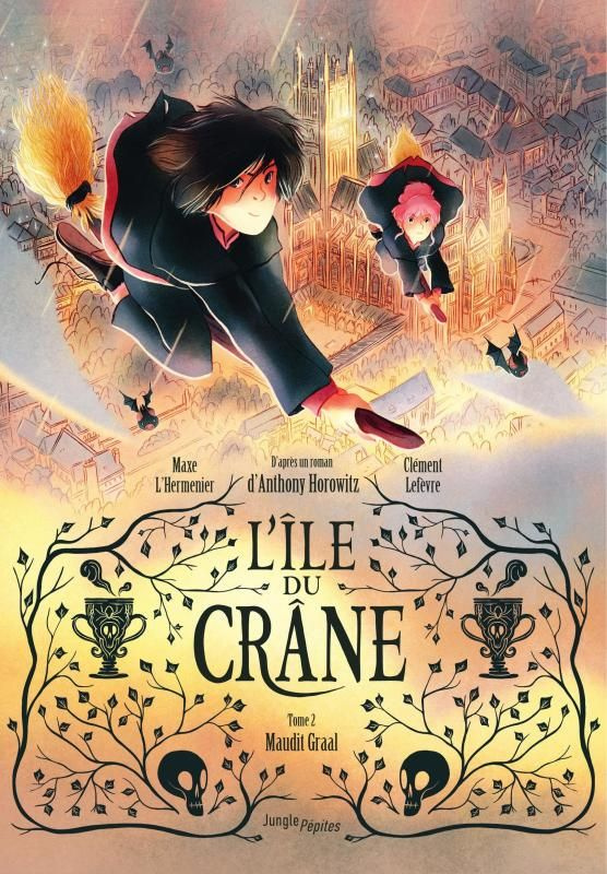L'île du crâne Tome 2 : Maudit Graal