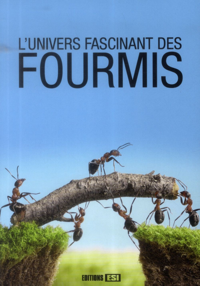 L'univers fascinant des fourmis