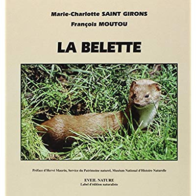 La belette