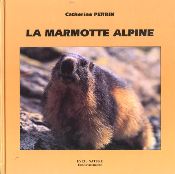 La marmotte alpine