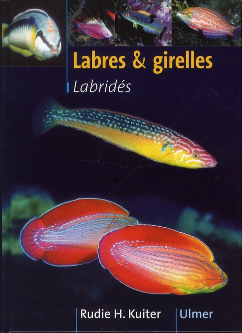 Labres et girelles. Labridés