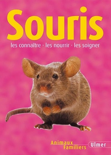 Souris