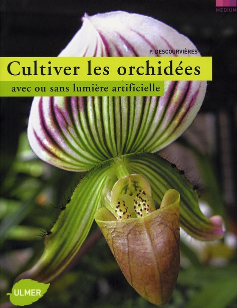 Cultiver les orchidées. Avec ou sans lumière artificielle