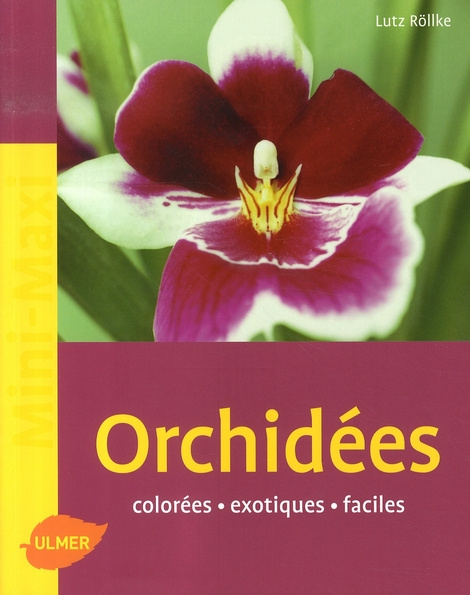 Orchidées. Colorées, exotiques, faciles