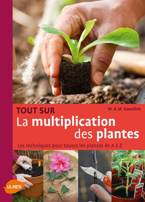 Tout sur la multiplication des plantes. Les techniques pour toutes les plantes de A à Z