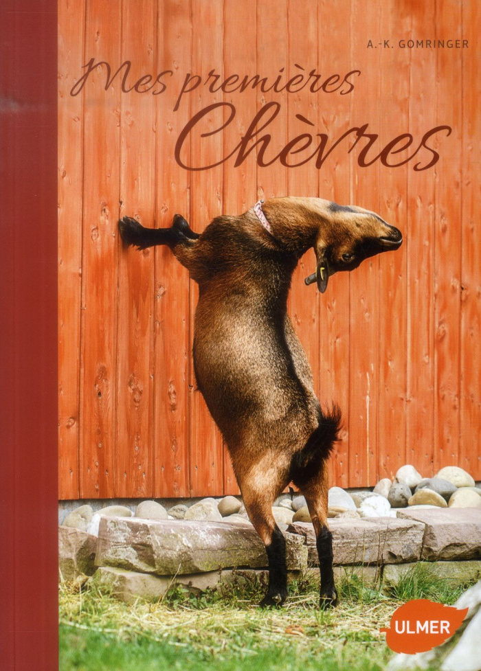 Mes premières chèvres