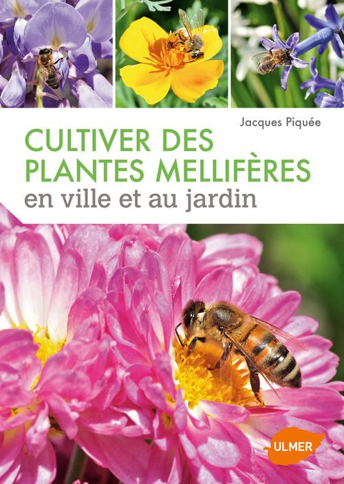 Cultiver des plantes mellifères en ville et au jardin