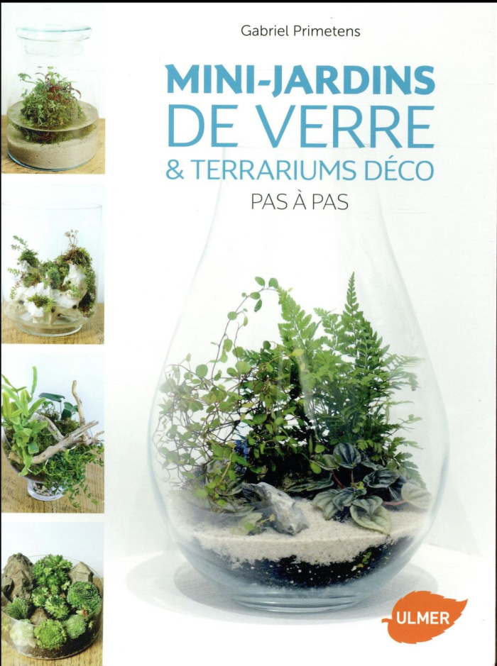 Mini-jardins de verre & terrariums déco. Pas à pas
