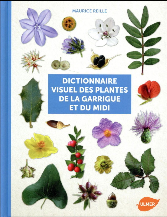 Dictionnaire visuel des plantes de la Garrigue et du Midi