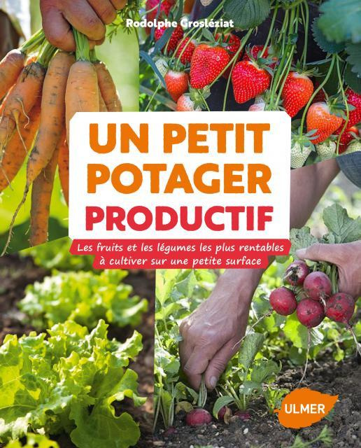 Un petit potager productif. Les fruits et les légumes les plus rentables à cultiver sur une petite s