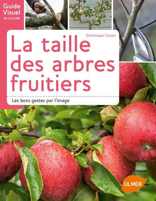 La taille des arbres fruitiers. Les bons gestes par l'image