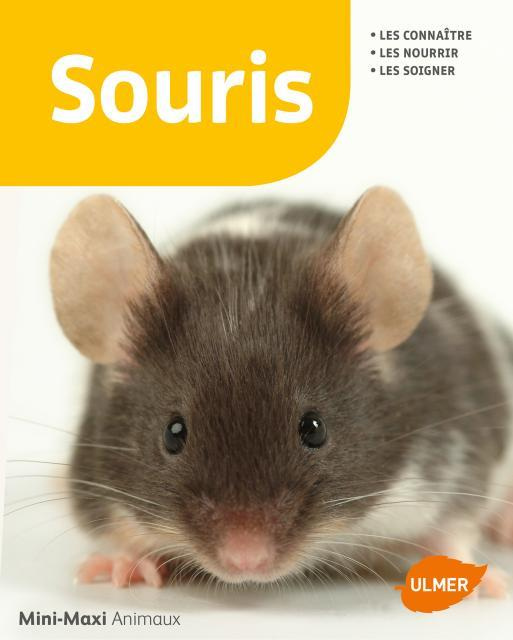 Souris
