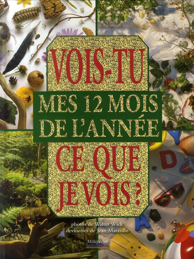 Vois tu ce que je vois ? Mes 12 mois de l'année