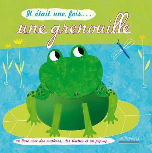 Il était une fois... une grenouille