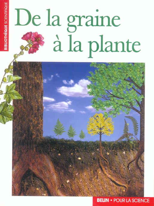 De la graine à la plante