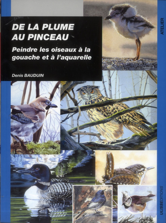 De la plume au pinceau. Peindre les oiseaux à la gouache et à l'aquarelle