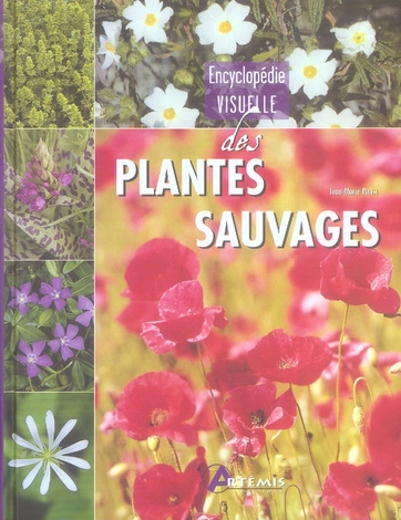 Encyclopédie visuelle des plantes sauvages